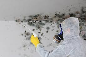 Best Air Quality Testing for Mold Spores  in Charlotte Harbor, FL